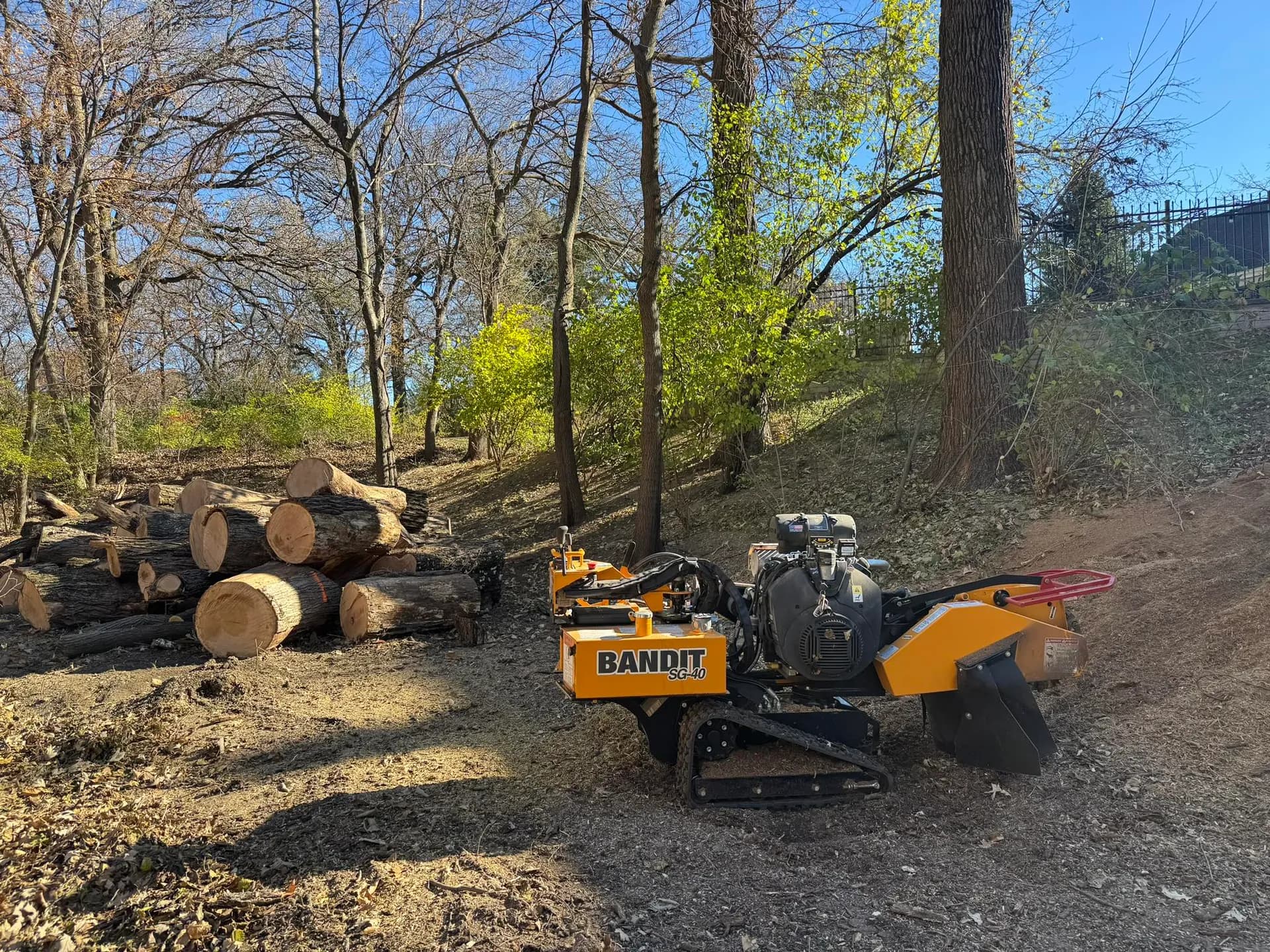 Professional tree removal equipment