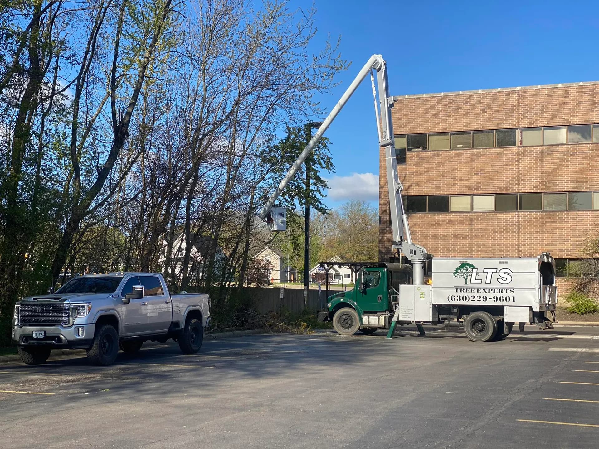 LTS Tree Experts team