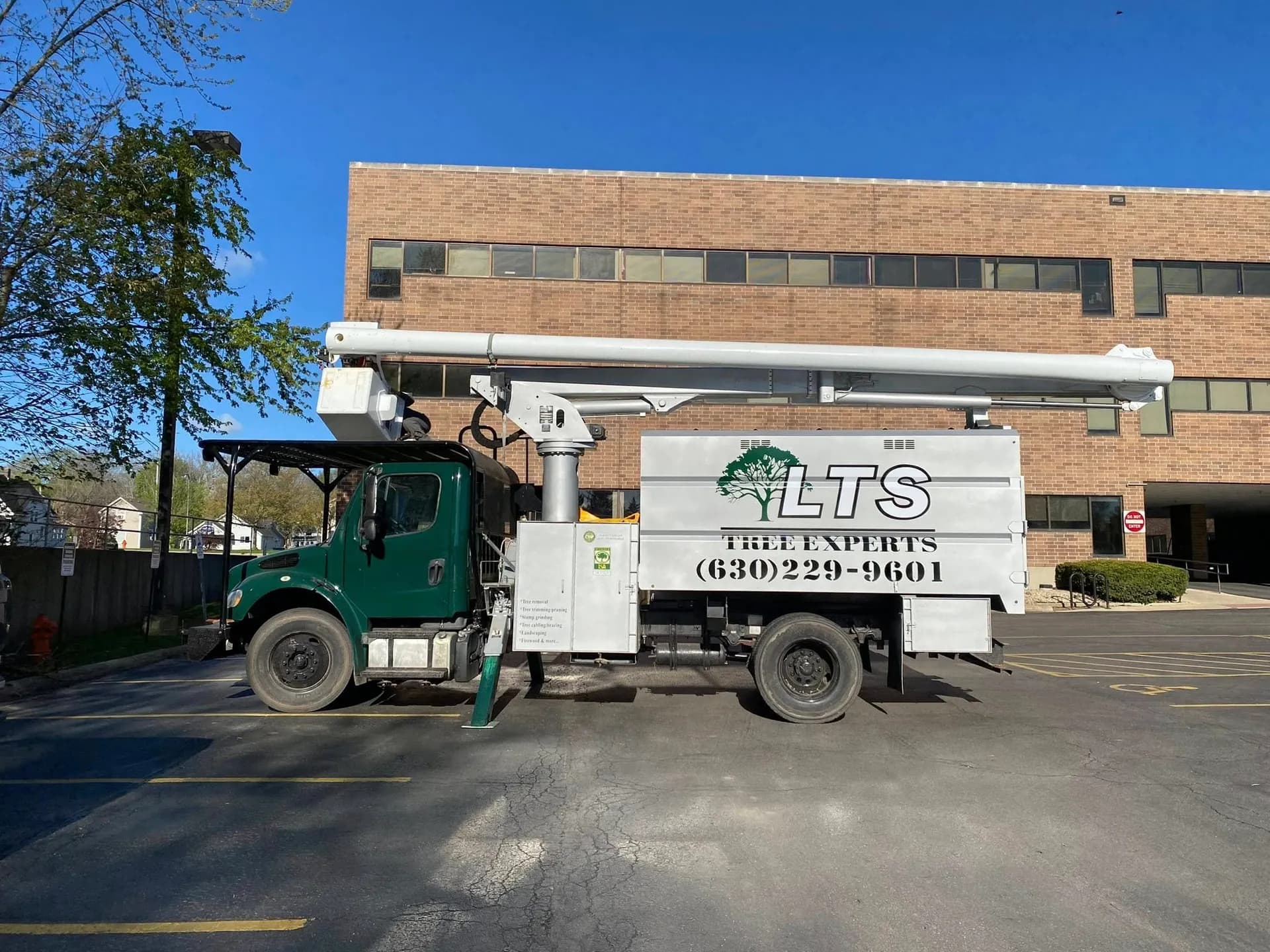 LTS Tree Experts at work