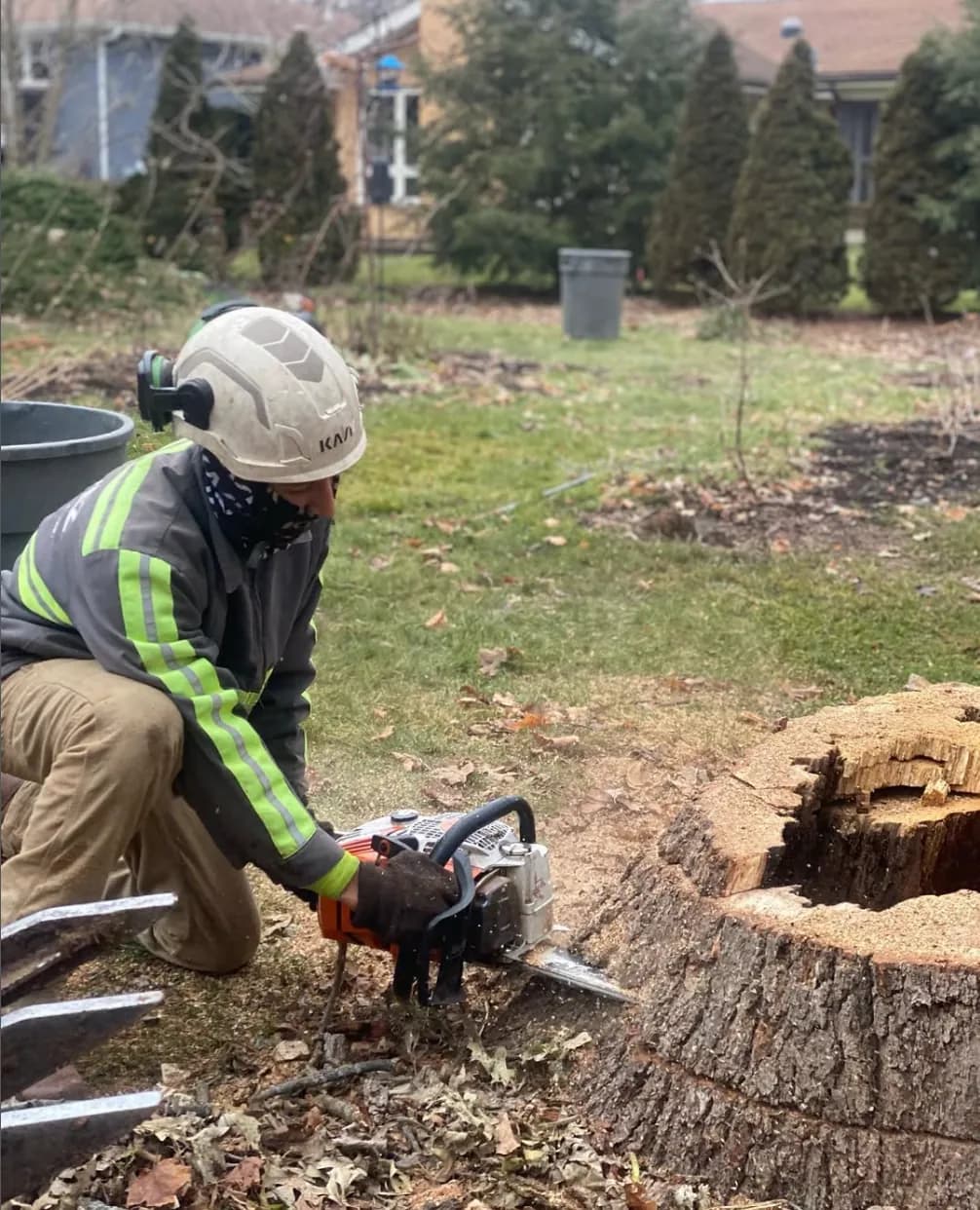 Stump grinding services
