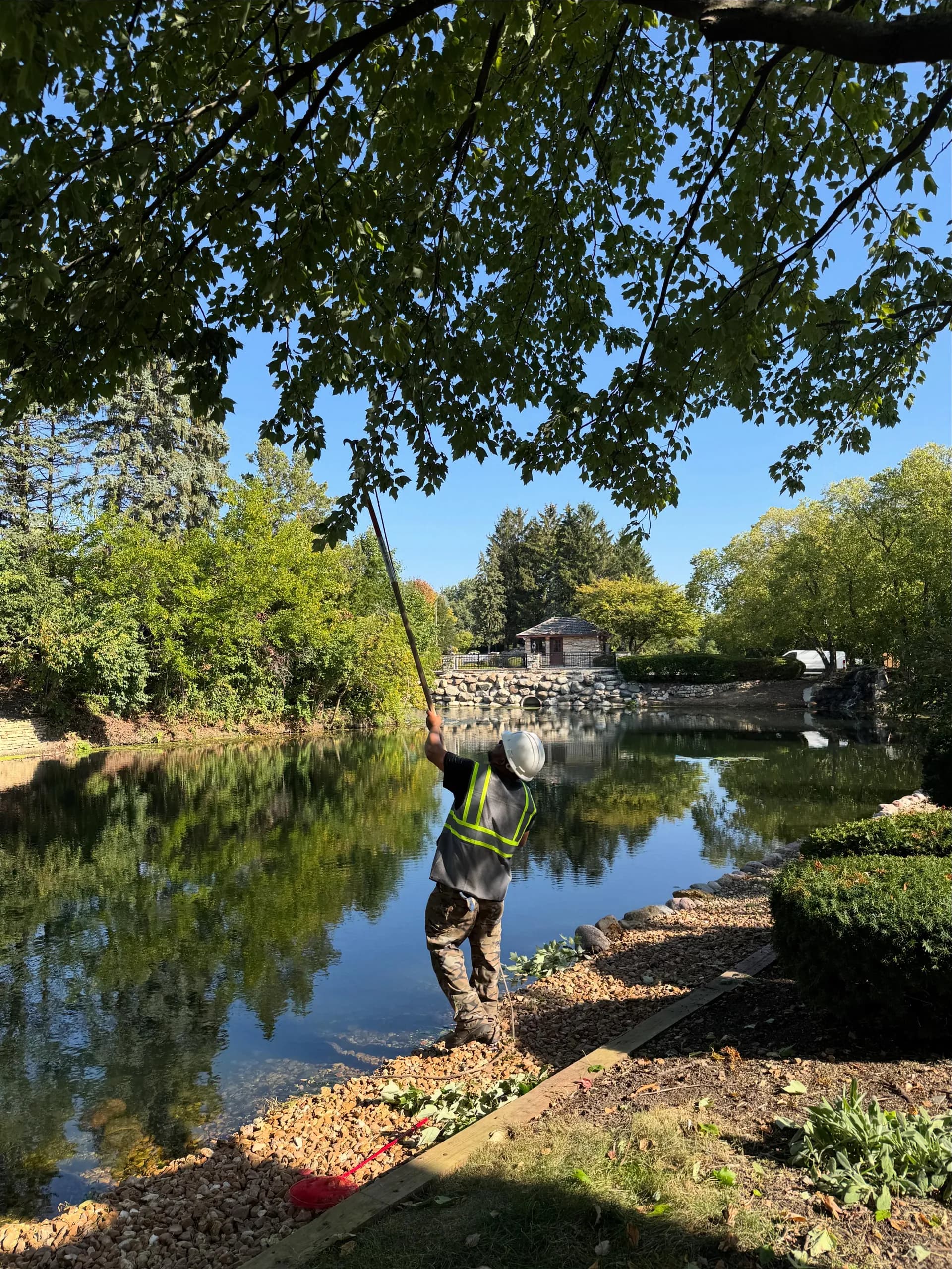Tree Pruning / Trimming