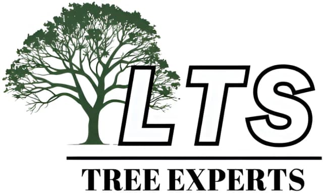 LTS Tree Experts Logo