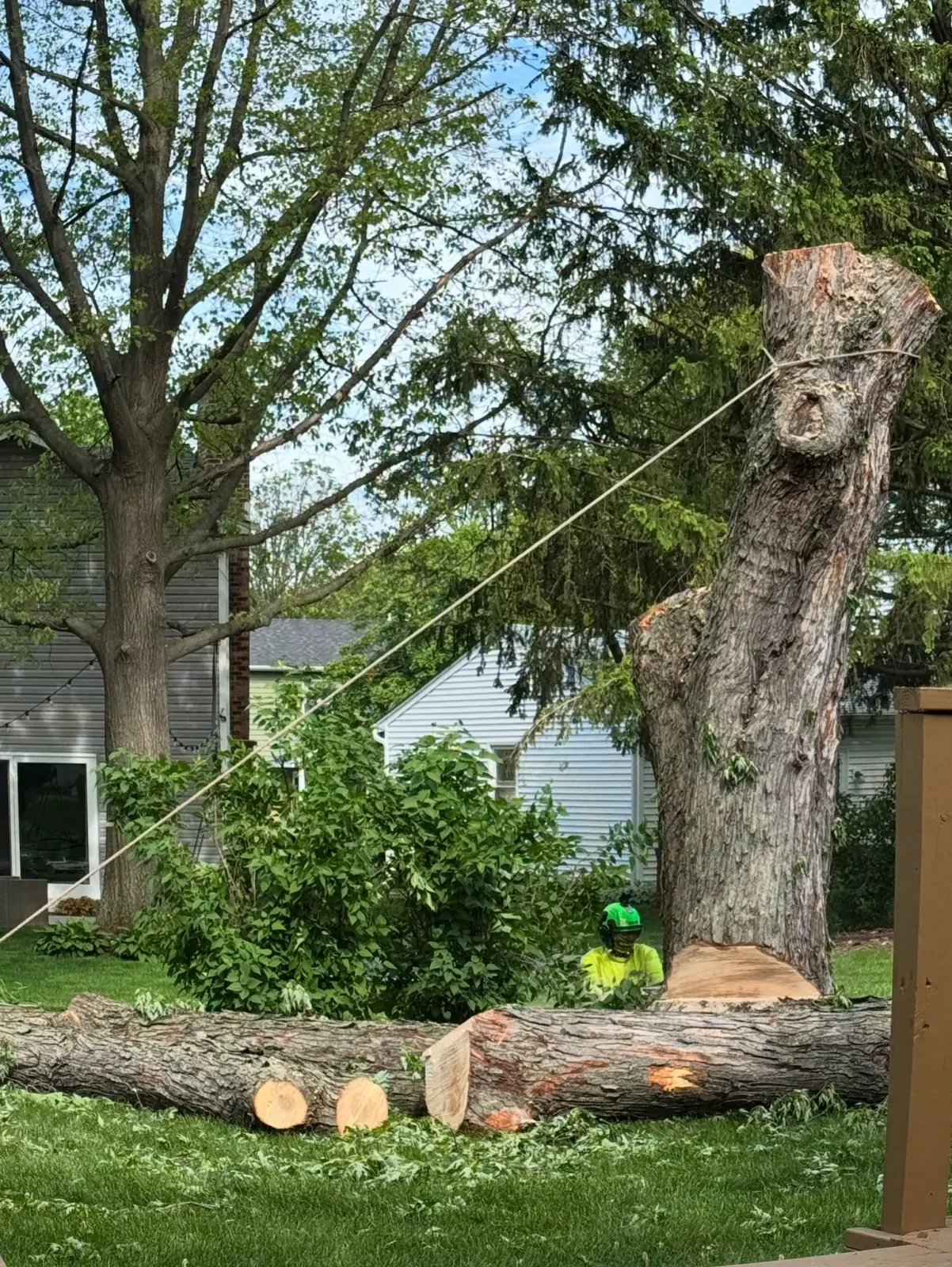 Stump removal