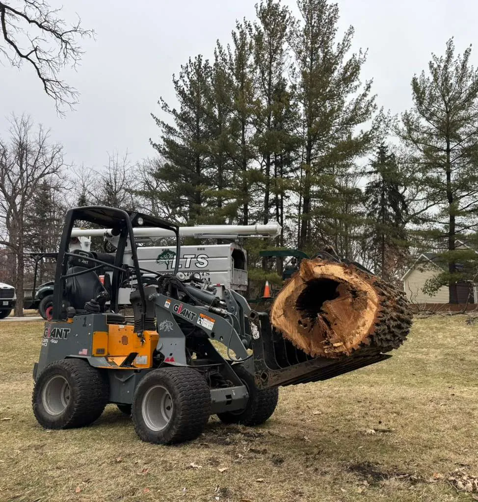 LTS Tree Experts truck